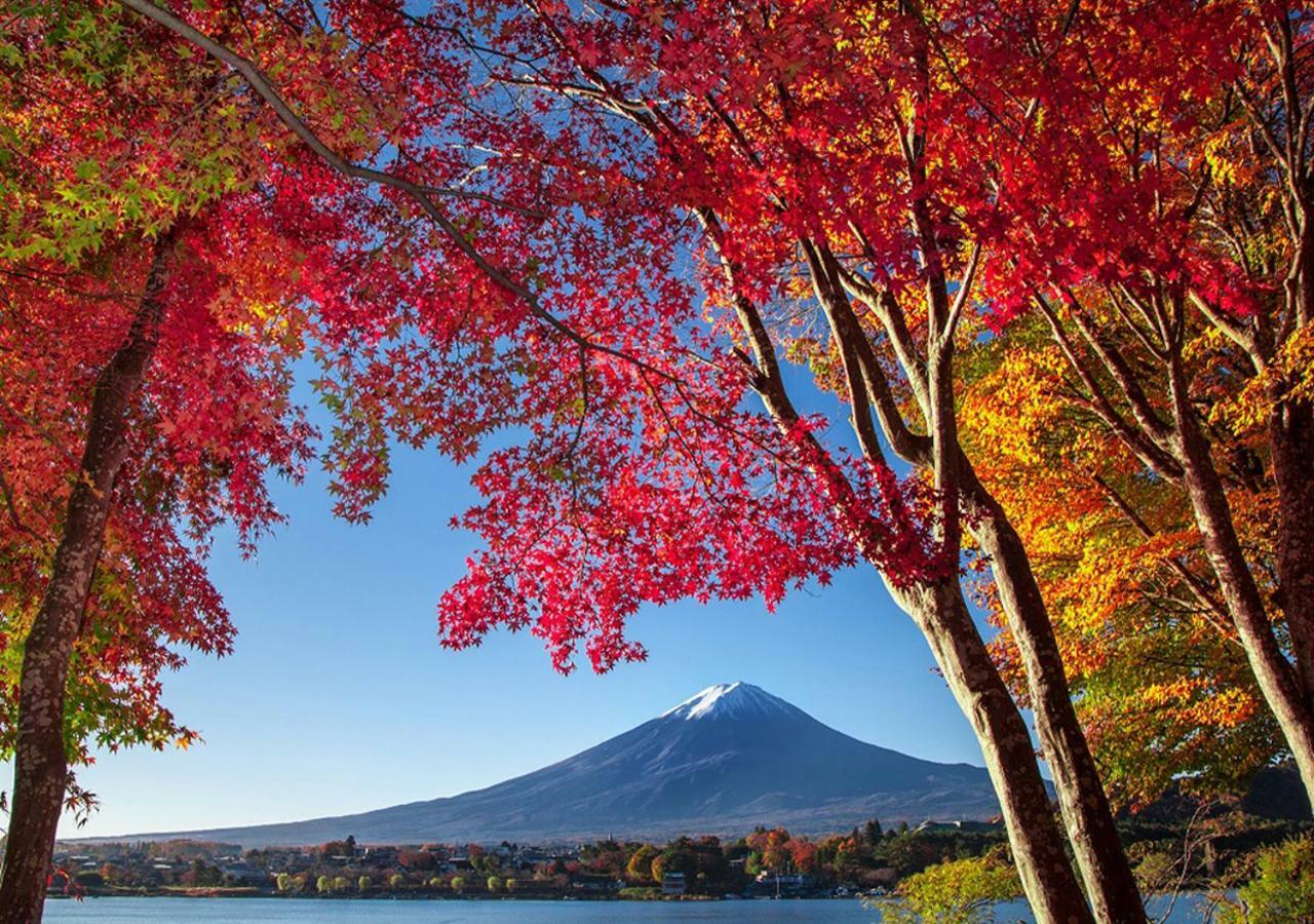 富士山金魚 Fujisan Kingyo Villa Fujikawaguchiko Luaran gambar